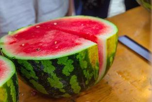 青海大学吃瓜,瓜香四溢，校园生活趣味盎然