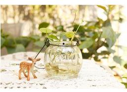 吃瓜少女水培摆件,吃瓜少女摆件，家居美学新宠