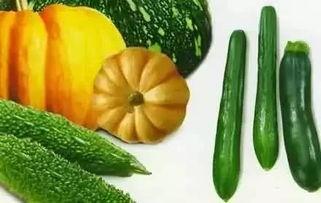 赵吃瓜,揭秘娱乐圈背后的那些事儿