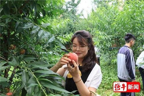 学弟学妹吃瓜小说,学弟学妹们的甜蜜秘闻