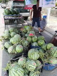 广州柳州吃瓜事件