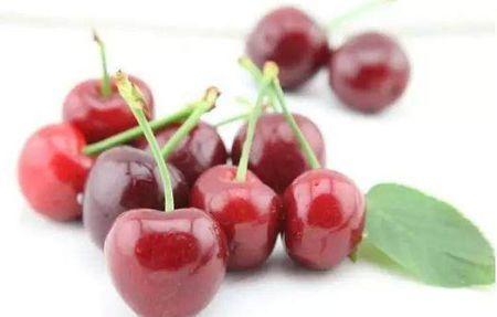 北美吃瓜小樱桃