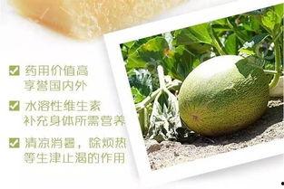 吃西蜜瓜的作用,夏日消暑、美容养生的天然佳品